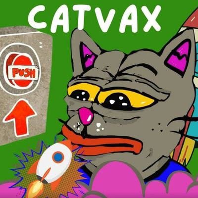 CATVAX Community Launch project